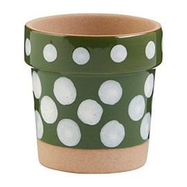 Mud Pie Green Dotted Rim Flower Pot, 4" x 4" Dia