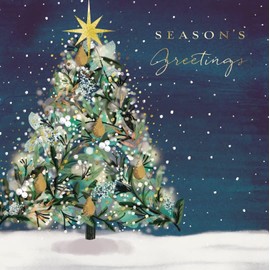 Charity Christmas Cards - Midnight Glow - Christmas Tree and Star with Foil Details - Eco-Friendly and Recyclable - Pack of 10 Cards - By The Great British Card Company