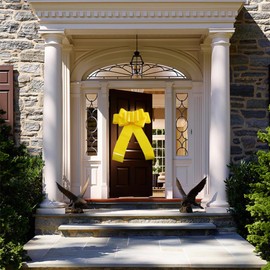 LHMTFCYY 1Pcs Giant Car Bow,21 Inch Giant Gift Bow for Large Gift Decoration,Giant Presents,Lady Surprise Party,Wedding Reception,Birthday,Christmas Bows for Car,Gift Bow (yellow)