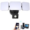 EMANER Smart Security Light Motion Sensor, Compatible with Alexa/Google Home,