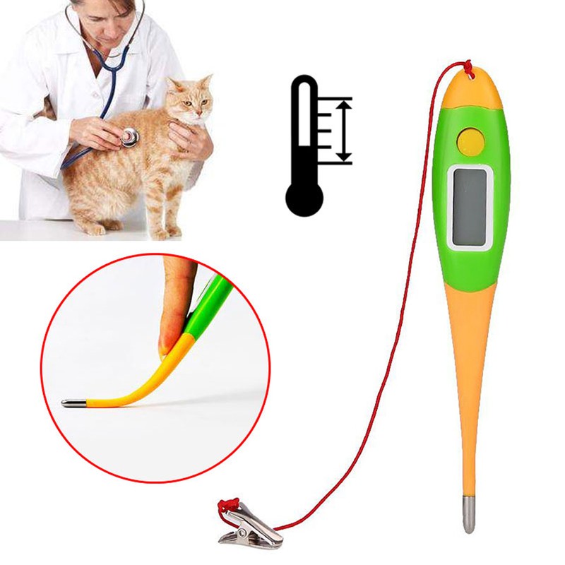Pets Electronic Thermometer Dog Digital Thermometer Veterinary Supplies