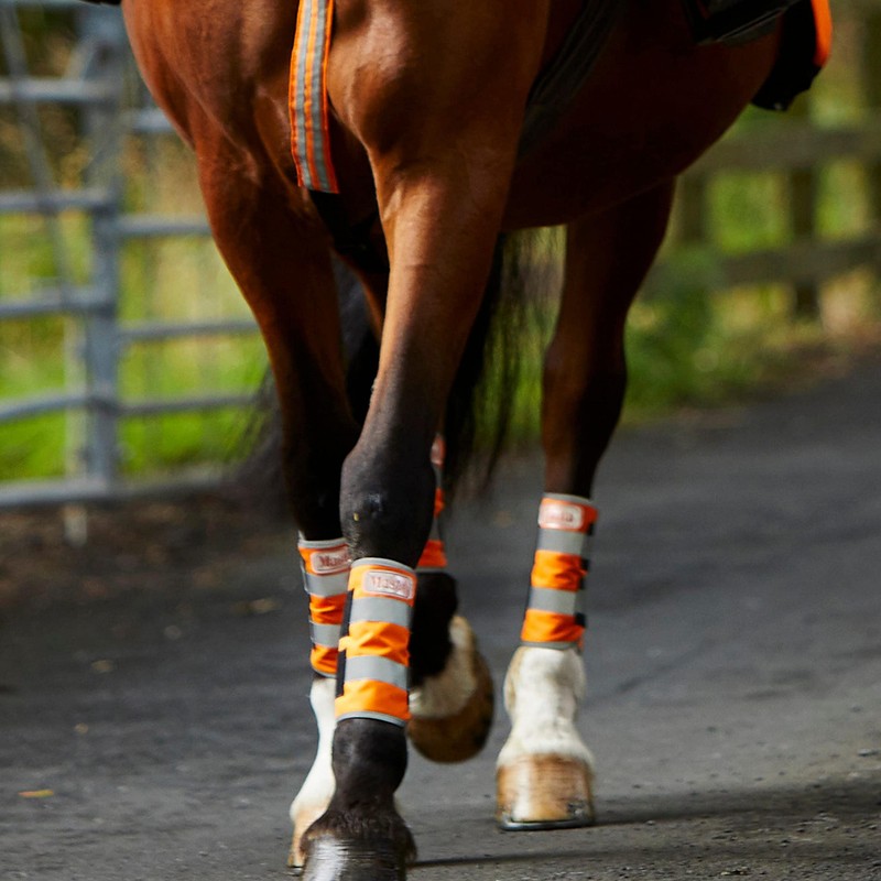 Masta Hi Vis Leg Wraps for Horses | Equestrian High
