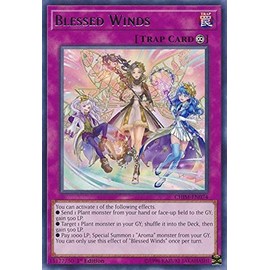 Yu-Gi-Oh! - Blessed Winds - CHIM-EN074 - Rare - 1st Edition - Chaos Impact