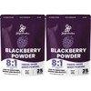 정글파우더 동결건조 블랙 베리 파우더 100g 2팩 Jungle Powder Freeze-Dried Black Berry Powder 100g 2 Packs