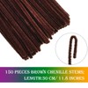 150 Pieces Brown Pipe Cleaners Chenille Stems, 150 Pieces Red