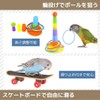 I'm so happy parakeet toy bird bird toy educational toy