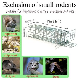 One-Way Squirrel Door excluder for mice, Bats and Rodents for Outdoor Rodent Holes, attics, Chimneys Includes Simple to Install Easy to Reuse Set