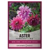 Aster Powderpuff Mix Flower Seeds