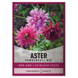 Aster Powderpuff Mix Flower Seeds