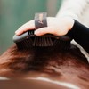 Animalon CareFlex Kardätsche | Flexible & Ergonomische Pferde-Bürste mit Klettverschluss