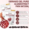 Astaxantina 12mg 300 Cápsulas Blandas Antioxidante Sin Sabor