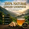 WOTIHA 150 Premium Ginger Tea Bags, 100% Pure Ginger Root,
