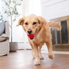 Outward Hound by Planet Dog Foodies Strawberry Treat-Dispensing Dog Chew
