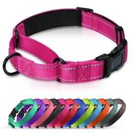 Erbine Neoprene Padded Martingale Collar for Dogs, Reflective Soft Nylon with Quick Release Buckle, Adjustable Dog Martingale Collars for Training & Daily Use (Hotpink,M)