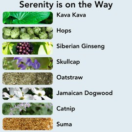 Stress Zapper Roll-On Blend, Supports Stress Relief and Relaxation, Calming Aromatherapy with Grapefruit, Lavender, and Bergamot Therapeutic Grade Essential Oils