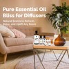 GM Gumili Citronella Essental Oil for Diffuser Aromatherapy - 1