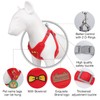 Ycpasta Comfortable and Soft Dog Harness Leash Set, No Pulling