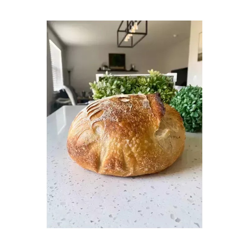 Heritage Sourdough Dehydrated SOURDOUGH STARTER Strong 100+ Yrs Old SAN