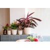 Capi Europe - Flower Pot Ball Groove 'Made with' Metallic