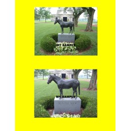 2 Seattle Slew Monument 8" by 10" Photos Three Chimneys Horse Racing #2