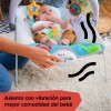 Bouncer Mecedora Baby Einstein Kick To It Musical 2 Modos