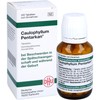 CAULOPHYLLUM Pentarkan Tablets Pack of 200