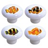 Carolina Hardware and Decor 2348 Clown Fish Ceramic Cabinet Drawer