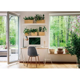 AIIKES 7x5FT Business Office Backdrop Photography Background Interior Casement Window Work at Home Modern Fat Furniture Apartment Decoration Residential Decoration Video Office Background 11-882