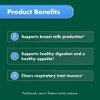 Nature's Own Fenugreek 1000Mg 60 Capsules