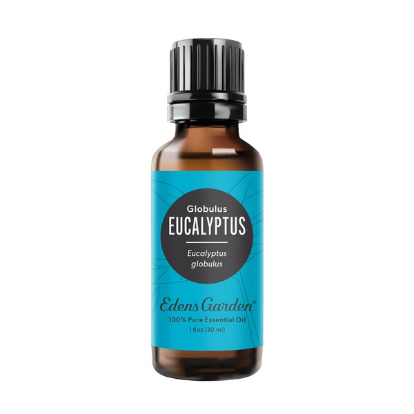 Eucalyptus 100% Pure Therapeutic Grade Essential Oil, 30 ml