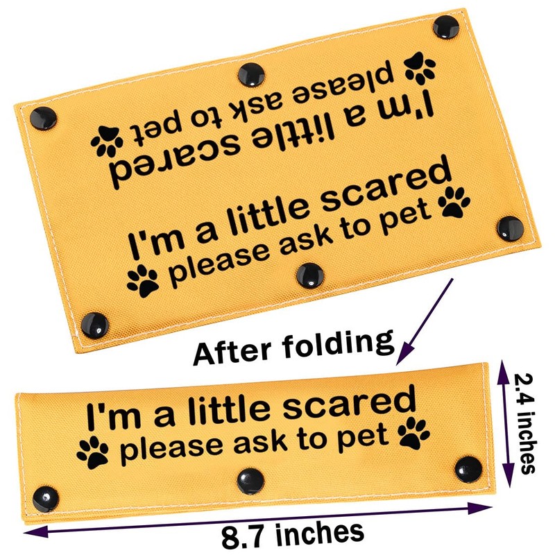 Scared Dogs Leash I'm a Little Scared Please Ask to