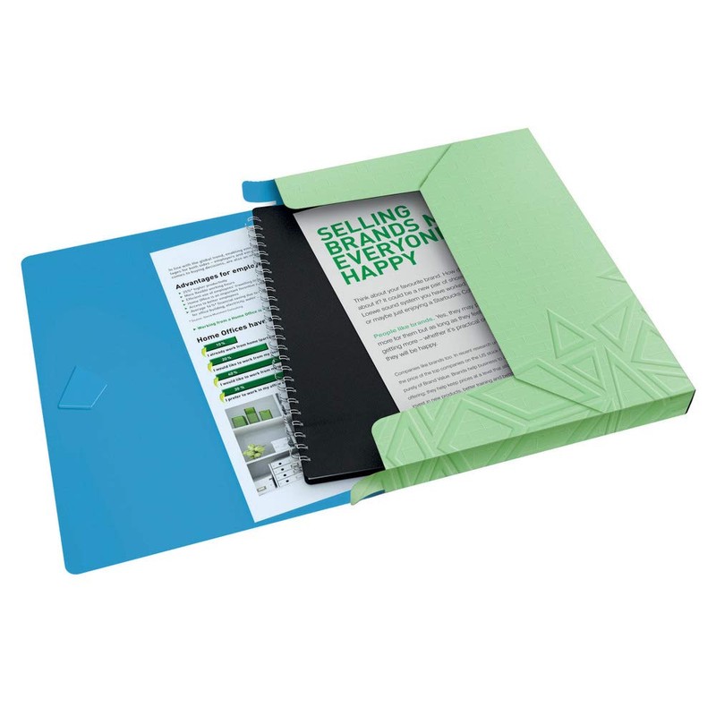 Leitz Box File, Holds up to 250 A4 Sheets, Elastic