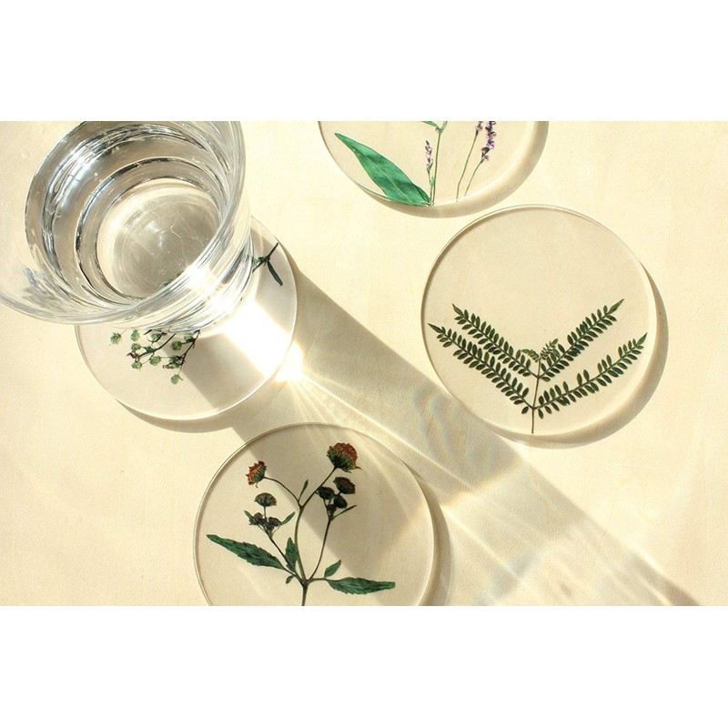 toumei Pressed Flower B Coasters Set of 4 in a