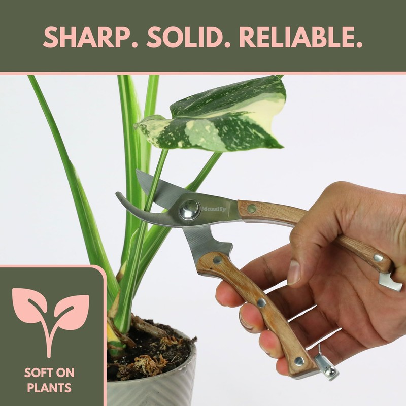 Mossify Garden Shears 8” – Premium Stainless Steel Pruning Shears