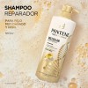 Shampoo Pantene Molecular Bond Repair Cabello Dañado 510ml