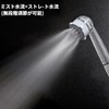 Plus Shower Head, Ultra Fine Mist, Chlorine Reducing, Beauty Shower