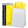 5ct White Paper Gift Bags + 10ct Gift Tissue