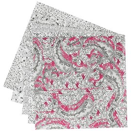 Aitoh RJR-02 Riggsbee Design-Feet Robin Joy Origami Paper, 6-Feet by 6-Inch, 20-Pack