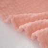 Puncuntex Flannel Fleece Throw Blanket Light Pink 60"×80",Super Soft Plush