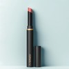 vein MAC Powder Kiss Velvet Blur Slim Lipstick 2g Rosemary, 1 piece / 맥 파우더 키스 벨벳 블러 슬림 립스틱 2g 로즈메리, 1개