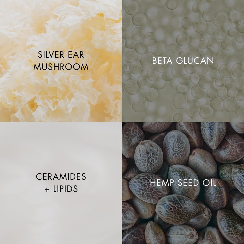 Bioelements Barrier Fix Daily Hydrator - 1.7 fl oz -