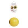 Lixit Chicken Toy One Size