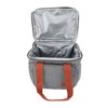 Insulated Lunch Bag 2 Layer Leakproof 14L Large Capacity Handheld
