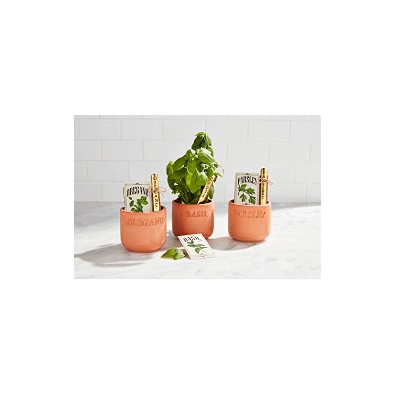 Mud Pie Oregano Herb Planting Set