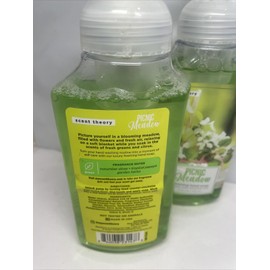 Scent Theory (2) Scent Theory Picnic Meadow Foaming Hand Soap 11 fl oz Bottles