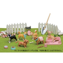 ania ania friends dog