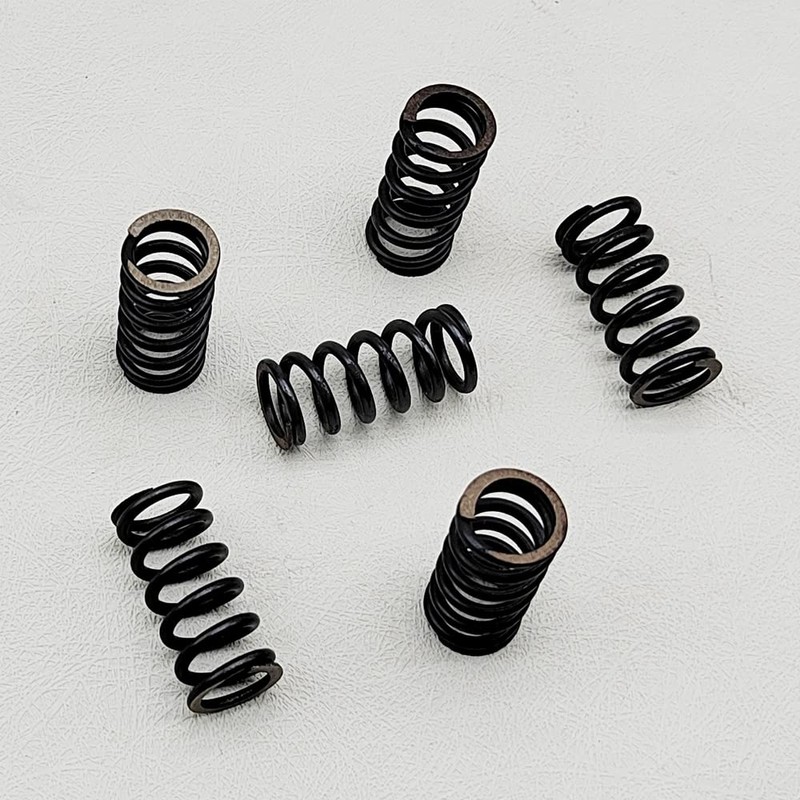 BIGLKNM Clutch Kit Friction Plates & Heavy Duty Springs Push