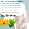 Probiotic Support Herbal Tea – Gut Balance & Digestive Comfort