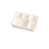 Be4Ever Sugarcane Bagasse 5 Compartment Plates Rigid & Durable Divided