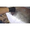 Stone Coat Countertops Tools Kit for Epoxy Resin, Includes 2